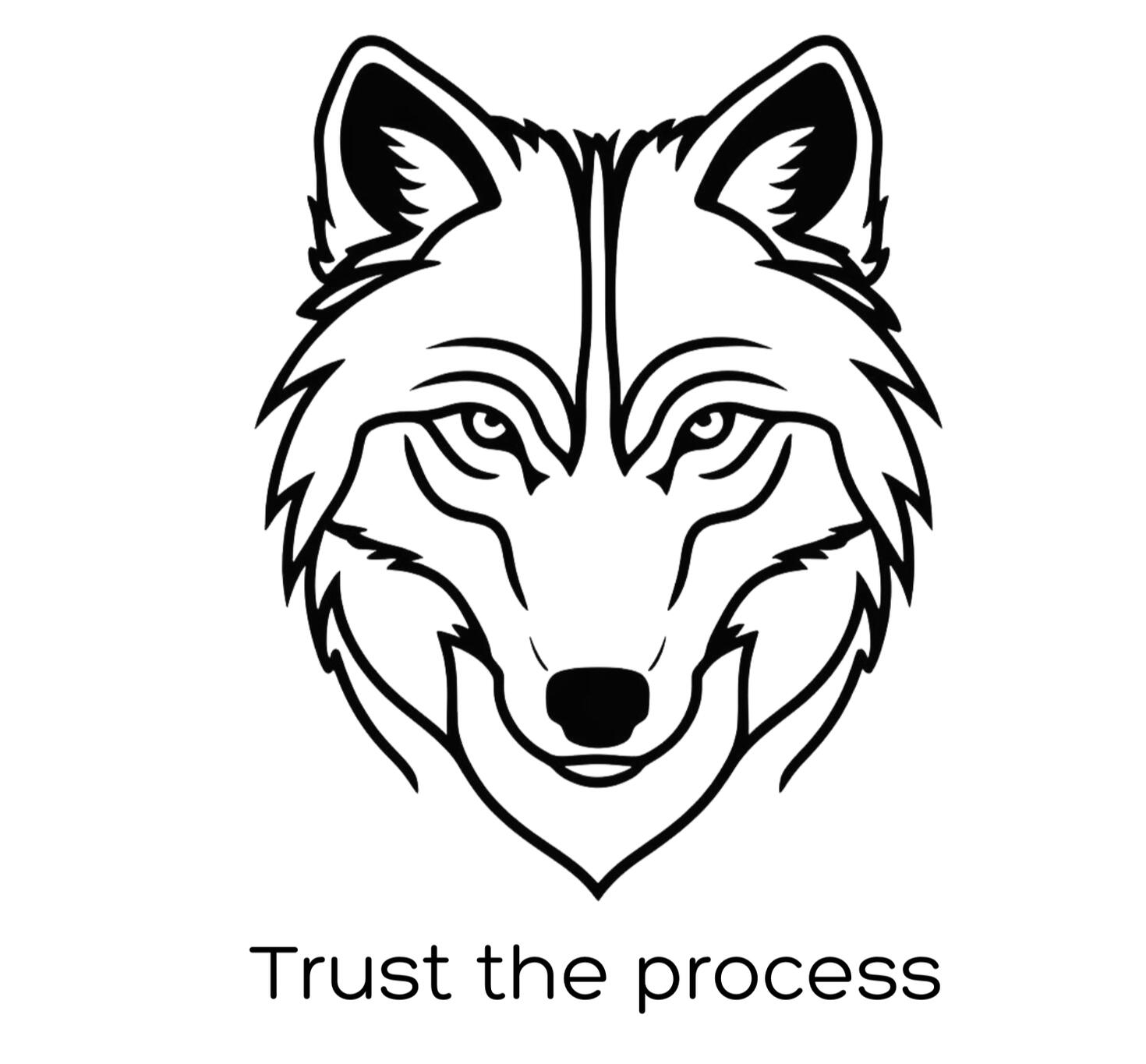 trust the process